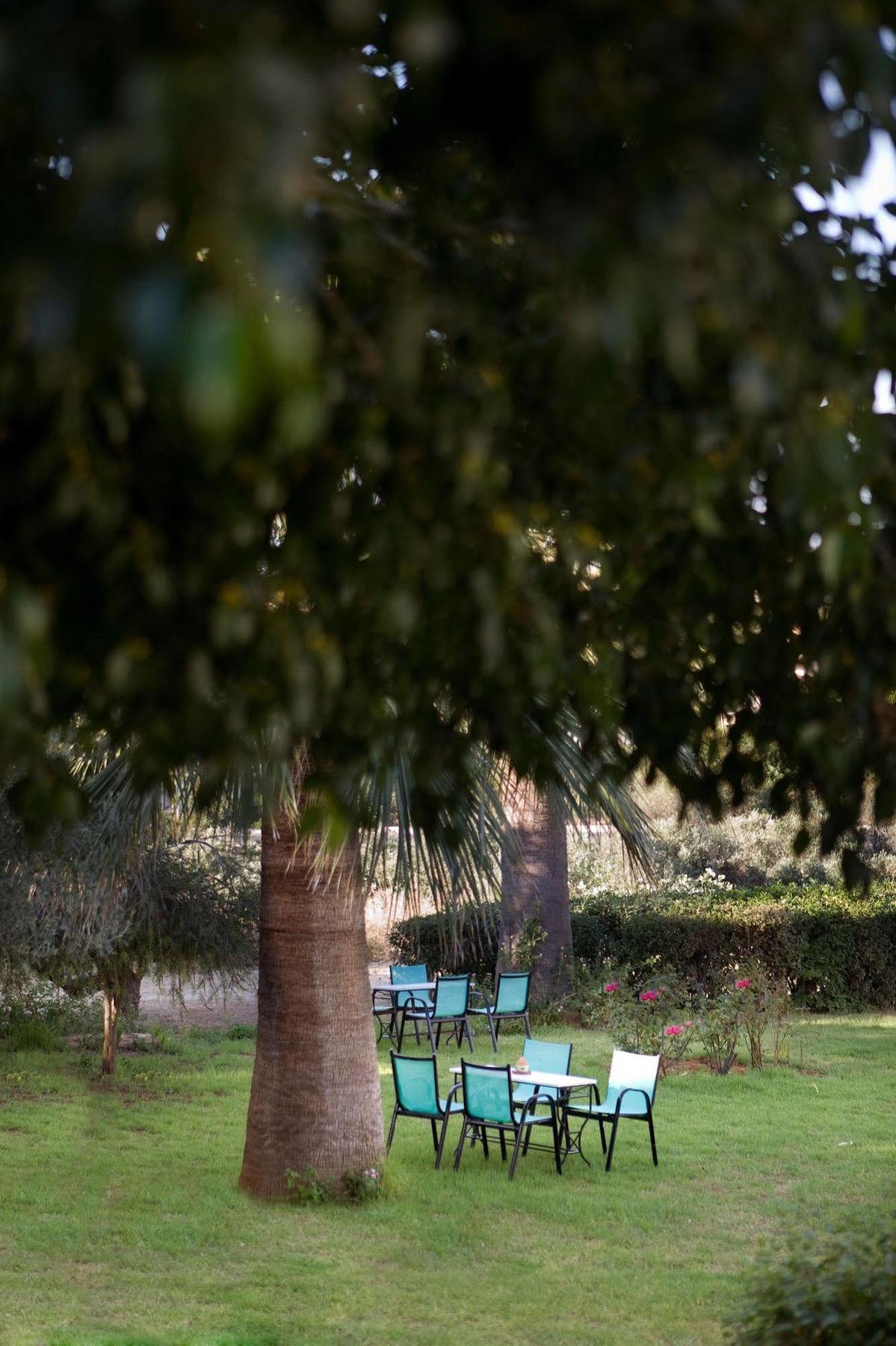 Villa Life Agia Marina エクステリア 写真